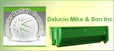 Delucio Mike & Son Inc
