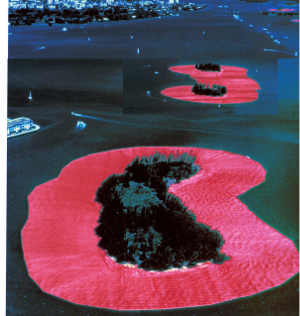 Floating Flowes in Atlantic Ocean. Rubbish Removal from Biscayne Bay, Florida